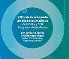 XIII Curso Avanzado de Diabetes SEEN-SED