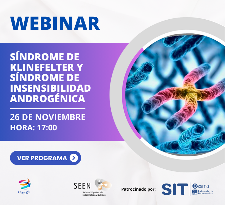 webinar gidseen